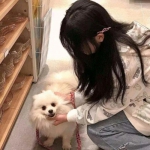 异次元大作战九游版下载